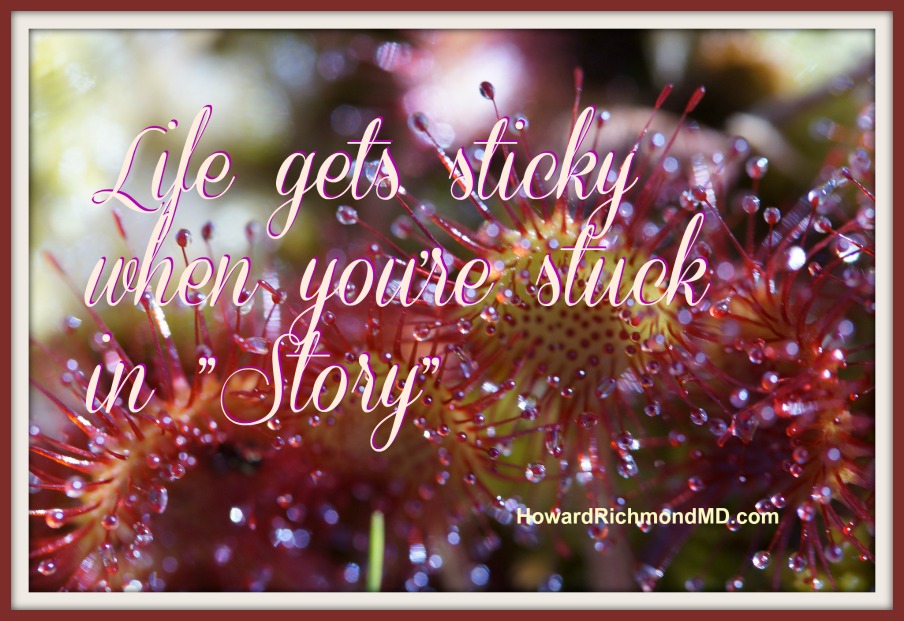 Life Gets Sticky